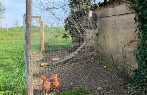 Can Carreras - Foto 51