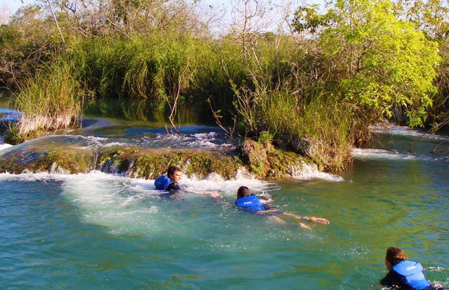 Snorkelling in the Formoso River - Foto 1