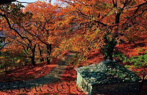 Traditional Mansion Calliopec-UVC sterilized - Foto 63