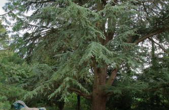 Normandie 12 couchages - Foto 15