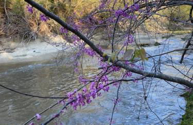 Cabin 2 - steps from the river! - Foto 11