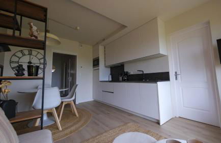 L'opale sauvage - Foto 4