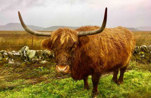 Cosy Karibu cottage with stunning canal views - Foto 42