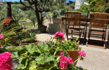 Casa vacanze 365 - verde - Foto 1