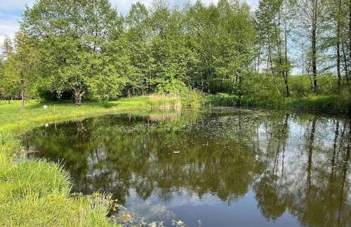 Komfortowy dom w lesie - Foto 18