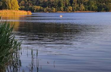 Ferienhaus Richard - Foto 54