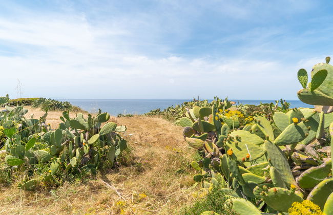 3 bedroom Apartment in Valledoria with garden - Photo 19