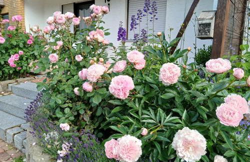 Ferienwohnung Feld und Wiese - Foto 21