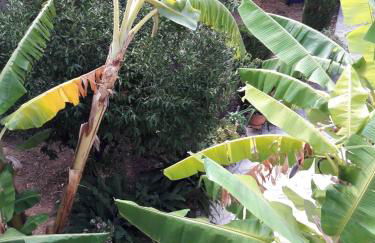 Epi Apartments - Foto 20