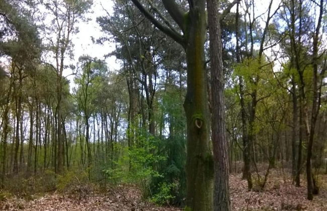 Chalet in Holiday Park With Private Terrace - Photo 28