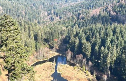 2- Raum - Ferienappartements 58 qm Dieter Hoffmann Freudenstadt-Kniebis beim Nationalpark - Foto 31