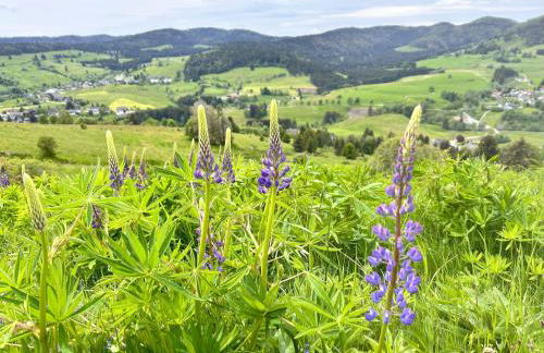 Ferienwohnung Käppeleblick - Foto 35