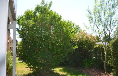 Yacht im Schiffehaus - Foto 21