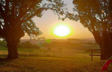 Villa Ginevri, La casa vacanze immersa nel verde - Foto 29