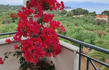 Villa Mariana - Foto 32