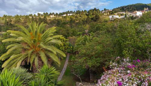 Teide Eco Harmony - Foto 3, Garden, Garden view