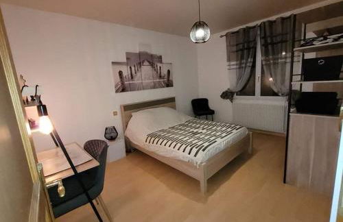 Appartement cosy style industriel - Foto 9