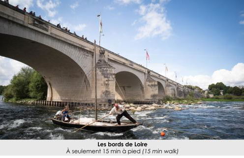 Gite Au Coeur de Tours, familial avec jardin au calme, parking - Photo 22