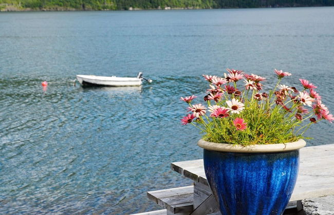 4 Person Holiday Home in Utvik-by Traum - Foto 17