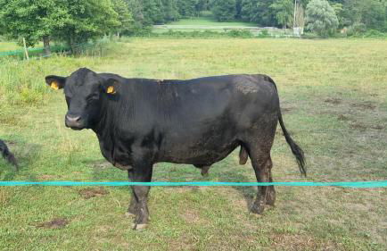 Agriturismo Pastorelli - Foto 39