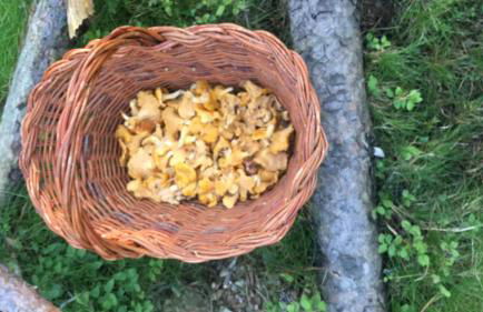 Casa en la Molina - Foto 56