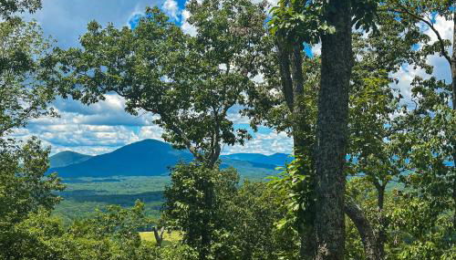 Mountain Top Retreat - Photo 3