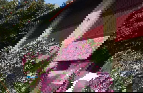 CASA DO RANCHO - Foto 61