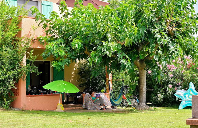 Pinea Mare - Foto 19