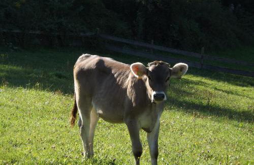 Landhaus Brockhaus - Foto 27
