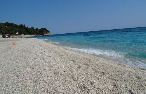 Homer's Guesthouse - Foto 32