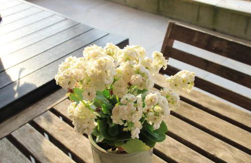 Le havre de paix - Foto 11