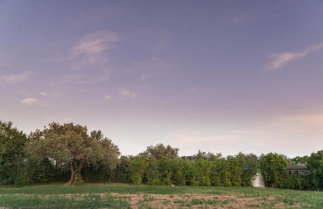 Can Gual Casa Rural - Photo 35