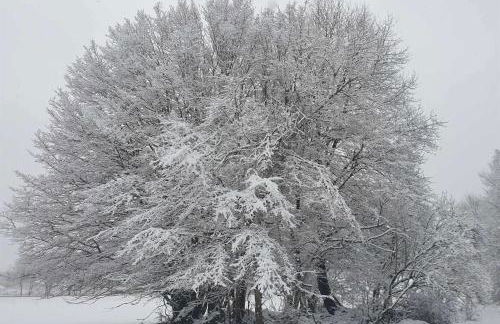 Ferienhaus Dreier-Ley - Foto 25