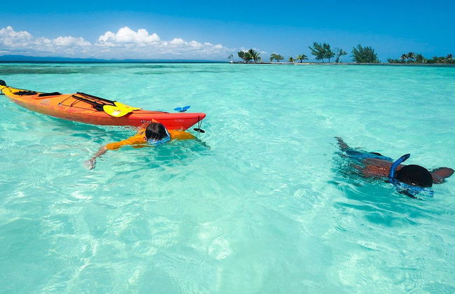 The Lily Pad II - Foto 9