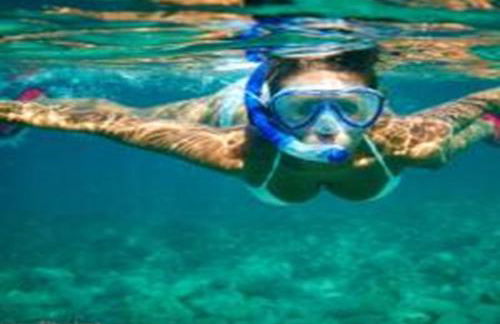 App - Il Fenicottero con parcheggio gratuito ad Orbetello - Foto 48