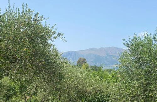 Cicero’s - Intero alloggio - Foto 45