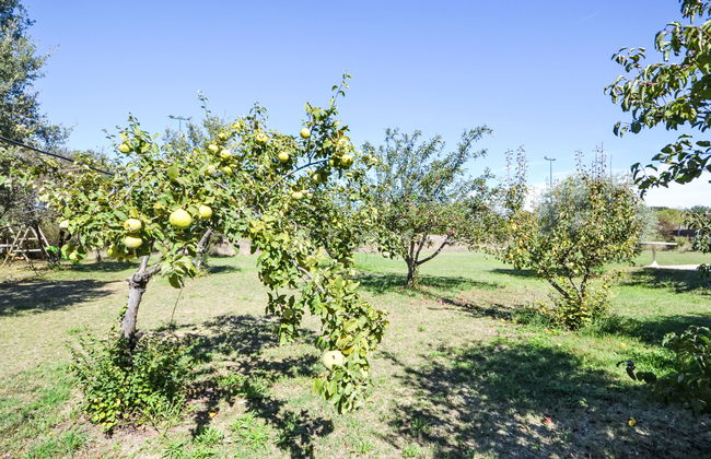 L'Oliveraie - Foto 23