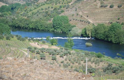 Casa Oliveiras do Douro - Foto 26