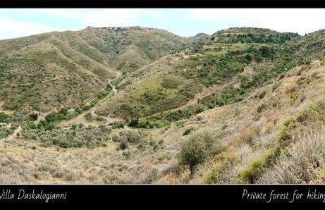 Villa Daskalogianni - Foto 61