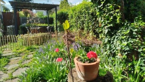 Schwarzwald-Lodge - hundefreundlich - Foto 4