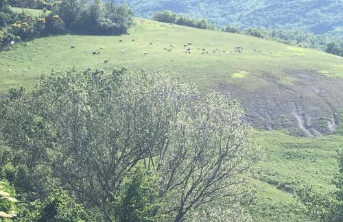 Agriturismo Il Covo del Solengo - Foto 75