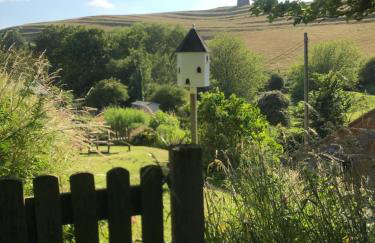 The Cottage Abbotsbury - Foto 33