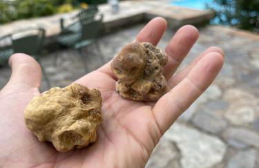 VILLA DEL LUPO: Crown of The Valtellina - Foto 60