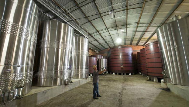 Vale dos Vinhedos Wine Tour - Foto 3