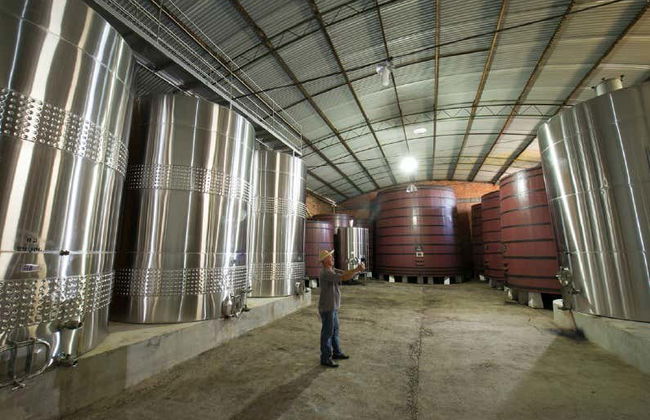 Vale dos Vinhedos Wine Tour - Photo 3