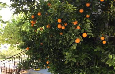 Grande Villa Provençale avec Piscine Privée à Gémenos - Foto 34