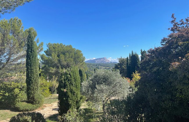 5 heures Excursion à terre Aix En Provence et à la campagne - Photo 12
