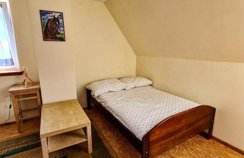 Domek Pod Mazurskim Lasem - Foto 13