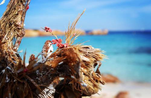 Casa Duminicheddha, mare e relax in Gallura - Foto 18