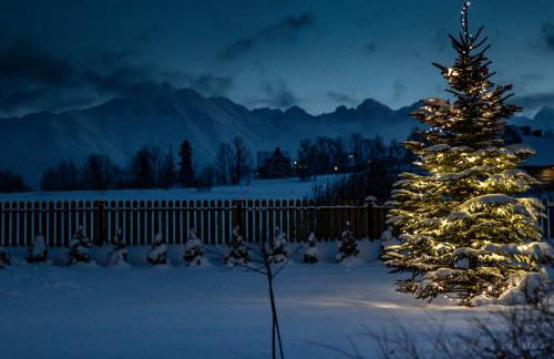 Domek Folkowa Chata - Foto 45